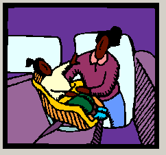 Automobile Safety
