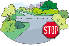 Bicycle Safety